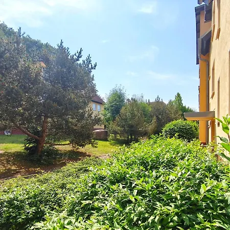 Waldstrasse 12 11 公寓 科瑟罗