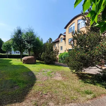 Waldstrasse 12 11 公寓 科瑟罗